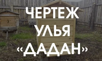 Вулик Дадана (12-ти рамковий креслення) (12-ти) Вулик Дадана (12-ти рамковий креслення)