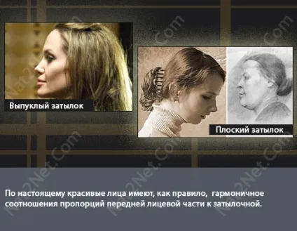 Поліпшення форми голови або «як опуклі потилицю» (голови) Поліпшення форми голови або «як опуклі потилицю»
