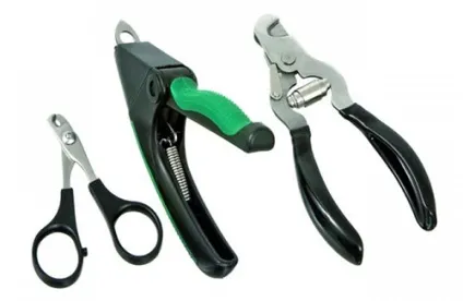 Догляд за щеням джек рассел тер'єра, gapvill (джек) Догляд за щеням джек рассел тер'єра, gapvill