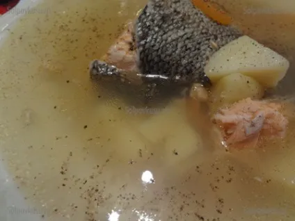 Юшка з форелі
