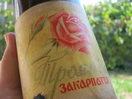 Варення з помідорів покроковий рецепт з фото (фото) Варення з помідорів покроковий рецепт з фото