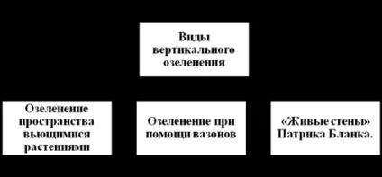 Вертикальне озеленення поняття, переваги, функції, види вертикального озеленення - (переваги) Вертикальне озеленення поняття, переваги, функції, види вертикального озеленення -