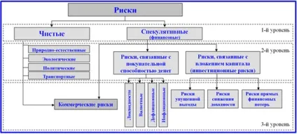 Види ризиків та їх класифікація (класифікація) Види ризиків та їх класифікація