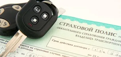 види каско