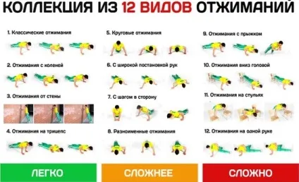 Види віджимань від підлоги на різні групи м'язів з картинками (різні) Види віджимань від підлоги на різні групи м'язів з картинками