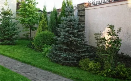Вибираємо матеріал для мощення доріжок, дачний сезон (мощення) Вибираємо матеріал для мощення доріжок, дачний сезон