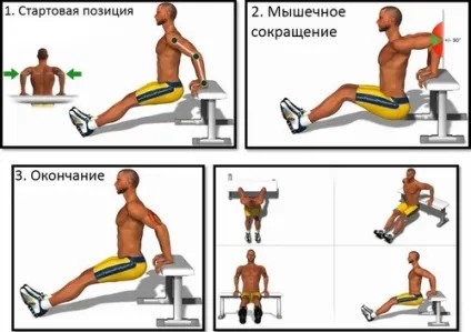 Види віджимань від підлоги на різні групи м'язів з картинками (статі) Види віджимань від підлоги на різні групи м'язів з картинками