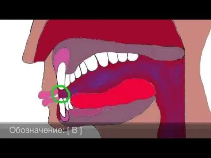 Videos like this 
