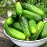 Вирощування брокколі у відкритому грунті, посадка (грунті) Вирощування брокколі у відкритому грунті, посадка