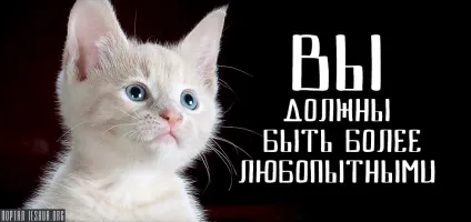Ви повинні бути більш цікавими (повинні) Ви повинні бути більш цікавими