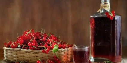 Вино з червоної смородини - рецепти приготування в домашніх умовах з фото і відео (червоною) Вино з червоної смородини - рецепти приготування в домашніх умовах з фото і відео