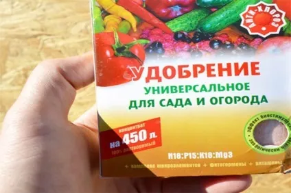 Вирощування кімнатного перцю в горщиках - поради професіоналів!
