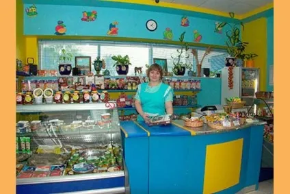 Чи вигідно утримувати зараз маленький продуктовий магазин (магазин) Чи вигідно утримувати зараз маленький продуктовий магазин