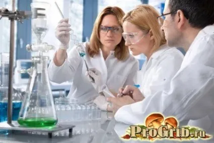 вирощування кордицепса