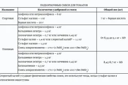 Високорослі помідори технологія вирощування томатів
