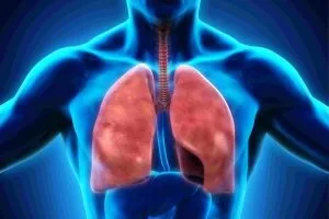 Вплив куріння на нервову систему (куріння) Вплив куріння на нервову систему