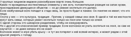 У якому порядку ходить вовча зграя (фото подробиці) (вовча зграя) У якому порядку ходить вовча зграя (фото подробиці)