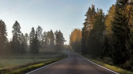 Володимир Путін підписав закон про так звану «лісової амністії» (закон) Володимир Путін підписав закон про так звану «лісової амністії»