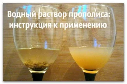Водний розчин прополісу приготування і інструкція (водний) Водний розчин прополісу приготування і інструкція