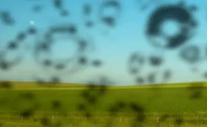 Виникають чорні мушки в очах причини появи дивних явищ (чорні) Виникають чорні мушки в очах причини появи дивних явищ