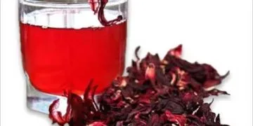Шкода червоного чаю, протипоказання (шкода) Шкода червоного чаю, протипоказання