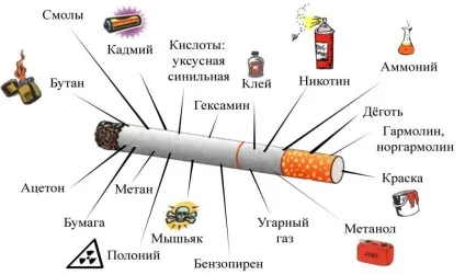Чи шкідливий кальян для здоров'я потенційна шкідливість кальяну і сигарет для здоров'я (кальян) Чи шкідливий кальян для здоров'я потенційна шкідливість кальяну і сигарет для здоров'я