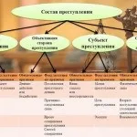 Тимур Батрутдінов і його дружина 2015 Тимур Батрутдінов зіграв весілля і розпрощався з нареченою, швидкий (2015) Тимур Батрутдінов і його дружина 2015 Тимур Батрутдінов зіграв весілля і розпрощався з нареченою, швидкий