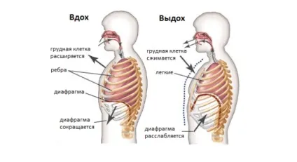 Техніка дихання вогню в йозі (йозі) Техніка дихання вогню в йозі
