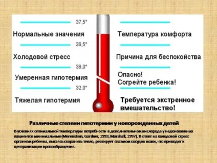 Температура новонародженої дитини нормальна, низька, підвищена, як збити (новонародженого) Температура новонародженої дитини нормальна, низька, підвищена, як збити