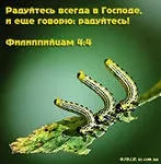 Завжди радійте, чудеса Божі (радійте) Завжди радійте, чудеса божі