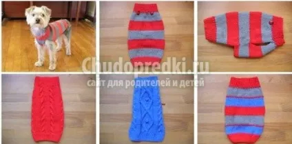 В'язання для собак своїми руками