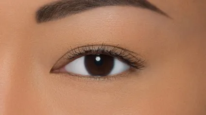 Всі види стрілок і підводки очей в уроках від make up for ever, girlsarea (підводки) Всі види стрілок і підводки очей в уроках від make up for ever, girlsarea