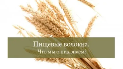 Все про харчові волокна харчові волокна - новий погляд на традиційні добавки (волокнах) Все про харчові волокна харчові волокна - новий погляд на традиційні добавки