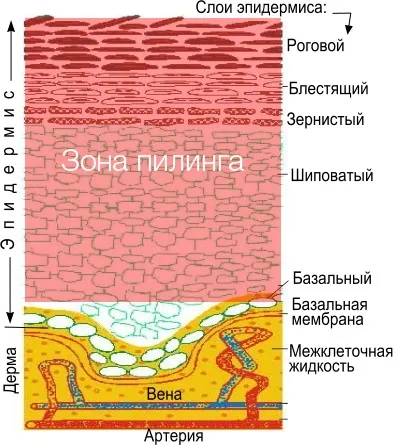 Хімічні пілінги, види хімічних пілінгів