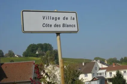Why why wine - статті - старий світ - франція - blanc de blancs (blanc) Why why wine - статті - старий світ - франція - blanc de blancs