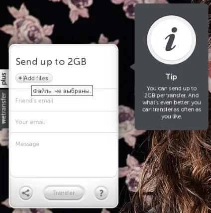 Wetransfer - сервіс обміну файлами, блог Семмі (сервіс) Wetransfer - сервіс обміну файлами, блог Семмі