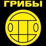 Яна Рудова в інстаграм - нові фото і відео (інстаграм) Яна Рудова в інстаграм - нові фото і відео