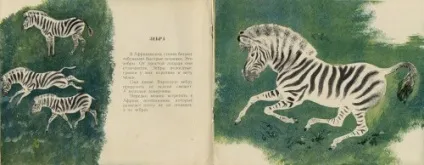Художник-анімаліст евгений иванович Чарушин (227 робіт) - картини, художники, фотографи на nevsepic (майстерність) Художник-анімаліст евгений иванович Чарушин (227 робіт) - картини, художники, фотографи на nevsepic