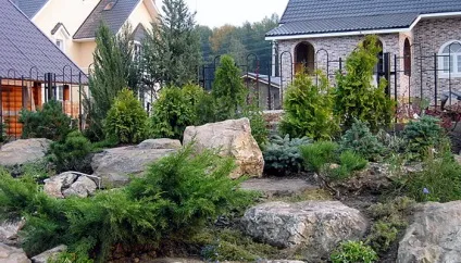 Хвойні дерева в ландшафтному дизайні фото хвойніков в дизайні саду, ділянки з хвойними рослинами (фото) Хвойні дерева в ландшафтному дизайні фото хвойніков в дизайні саду, ділянки з хвойними рослинами