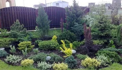Хвойні дерева в ландшафтному дизайні фото хвойніков в дизайні саду, ділянки з хвойними рослинами (ландшафтному) Хвойні дерева в ландшафтному дизайні фото хвойніков в дизайні саду, ділянки з хвойними рослинами