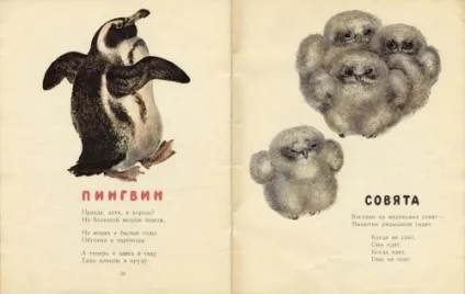 Художник-анімаліст евгений иванович Чарушин (227 робіт) - картини, художники, фотографи на nevsepic (знайшло) Художник-анімаліст евгений иванович Чарушин (227 робіт) - картини, художники, фотографи на nevsepic