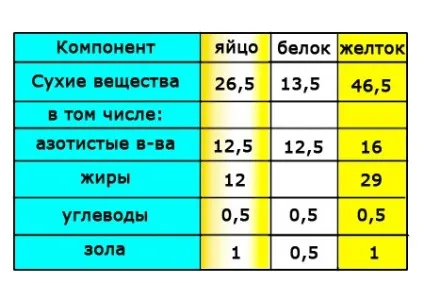 Яйця і яйцепродукти в хлібопекарському і кондитерському виробництві (кондитерському) Яйця і яйцепродукти в хлібопекарському і кондитерському виробництві