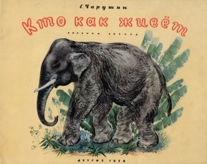 Художник-анімаліст евгений иванович Чарушин (227 робіт) - картини, художники, фотографи на nevsepic (Чарушина) Художник-анімаліст евгений иванович Чарушин (227 робіт) - картини, художники, фотографи на nevsepic