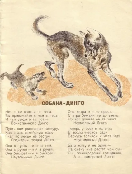 Художник-анімаліст евгений иванович Чарушин (227 робіт) - картини, художники, фотографи на nevsepic (иванович) Художник-анімаліст евгений иванович Чарушин (227 робіт) - картини, художники, фотографи на nevsepic