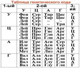 Завдання на компліментарність - студопедія