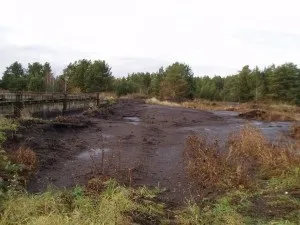 Забруднення біосфери джерела, радіоактивне, хімічне