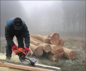 Заготівля і очищення деревини від кори або як видалити кору з колоди (кору) Заготівля і очищення деревини від кори або як видалити кору з колоди