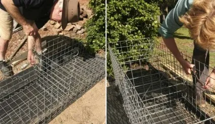 Огорожа з габіонів своїми руками як зробити паркан із сітки і каменю (руками) Огорожа з габіонів своїми руками як зробити паркан із сітки і каменю