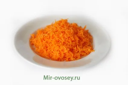 заготівля моркви