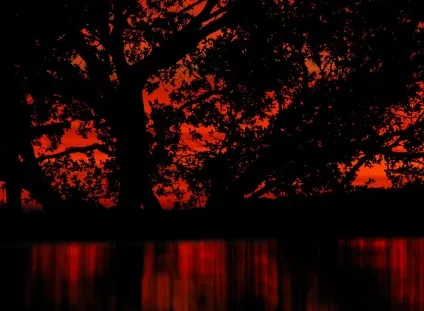 Захід сонця в фотографіях, фото новини (захід) Захід сонця в фотографіях, фото новини